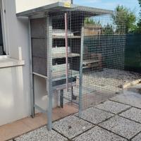 Gabbia spaziosa per piccioni viaggiatori