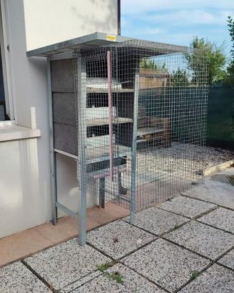 Gabbia spaziosa per piccioni viaggiatori