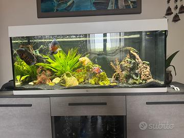 Acquario rio 250 litri