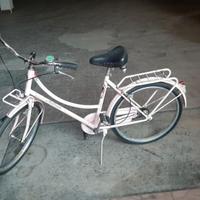 Bicicletta da donna