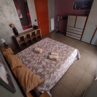 Lucky House - Reggia & Stadium