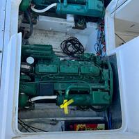 Coppia di Motori volvo penta tamd41a