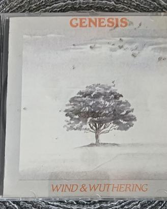Collezione anni 80 Genesis