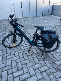 Bici Elettrica Fiido C11 city bike