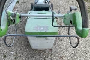 Tosa erba frazionato