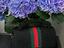 Immagine 3