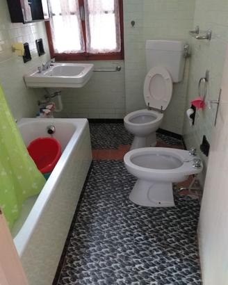 water, bidè, lavello, doccia