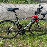 Bottecchia duello stradale.
