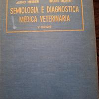 veterinaria 