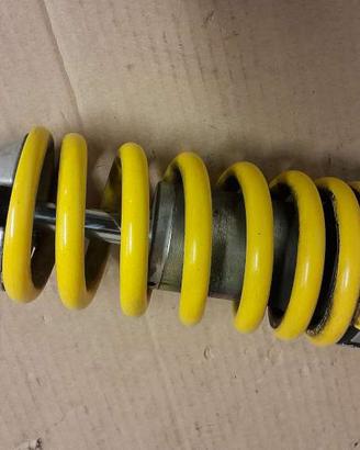 Ammortizzatore Ducati Monster 620 900 1000 S2R 800