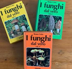 Libri “I funghi dal vero “ di Bruno Cetto