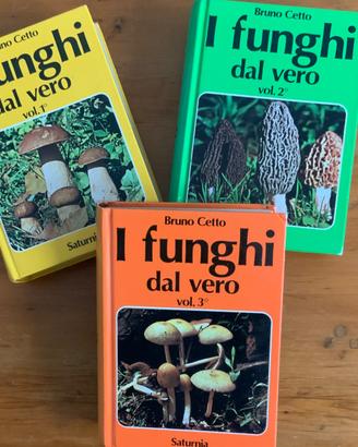 Libri “I funghi dal vero “ di Bruno Cetto
