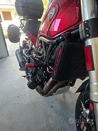benelli leoncino 500