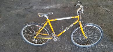 bicicletta gialla per bambino/a