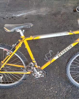 bicicletta gialla per bambino/a