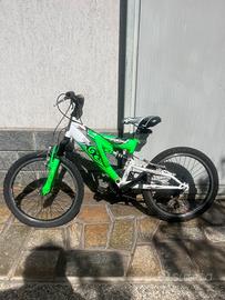 Bici Viking