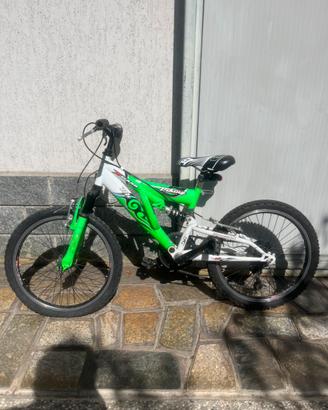Bici Viking