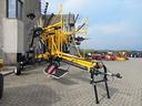 andanatore-maschio-ponente-t760