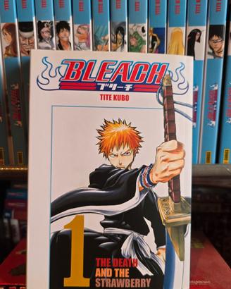 Bleach Serie Completa  (1-74)