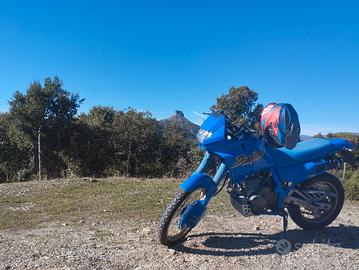 dominator prima serie 