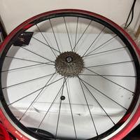 Ruota Fulcrum con  copertone Rullo Indoor Van Ryse