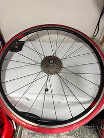 Ruota Fulcrum con  copertone Rullo Indoor Van Ryse