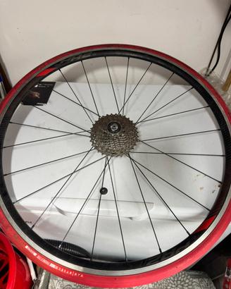 Ruota Fulcrum con  copertone Rullo Indoor Van Ryse