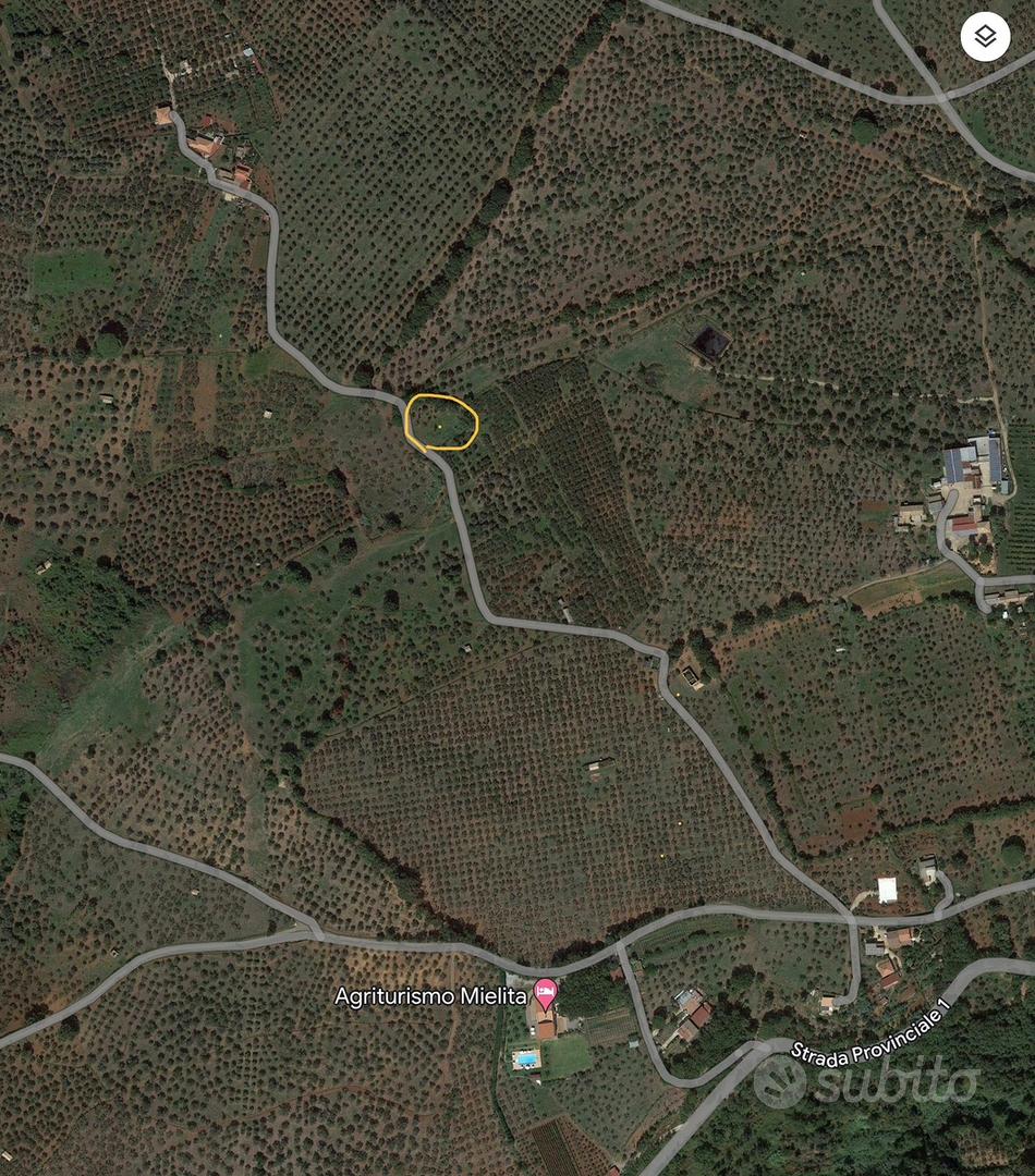 Terreno Francavilla Angitola - Vista 6
