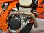 Immagine 8