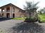 Immagine 3