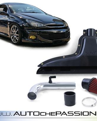 Air box Peugeot 206 dal 1998 al 2006 14 16
