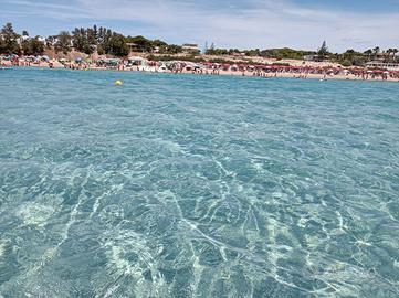 AffittaMarina appartamento a due passi dal mare