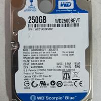 Hard Disk 250 GB HDD - Western Digital