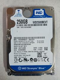 Hard Disk 250 GB HDD - Western Digital