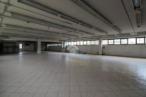 CAPANNONE A SAN COLOMBANO AL LAMBRO