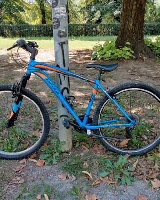 bicicletta Esperia Portaland 27.5 