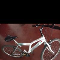 Bicicletta ragazzo (Montan bike)
