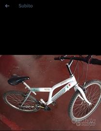 Bicicletta ragazzo (Montan bike)
