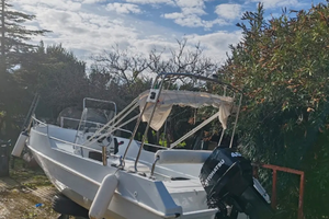 Barca motore tohatsu