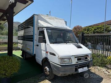 FIAT IVECO TRASPORTO ANIMALI