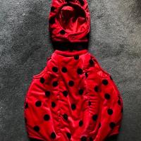 Travestimento Coccinella