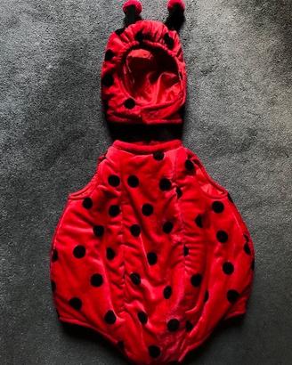 Travestimento Coccinella