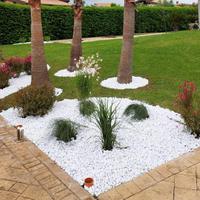 CIOTTOLO BIANCO CARRARA