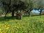 Immagine 6