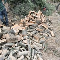 legna di ulivo spaccata 