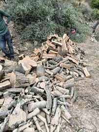 legna di ulivo spaccata 