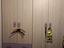 Immagine 1