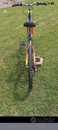 Bicicletta Mountain bike