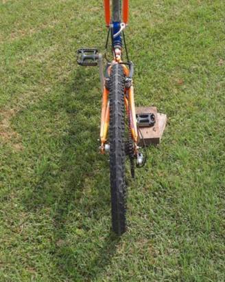 Bicicletta Mountain bike