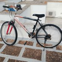 Biciclette usate